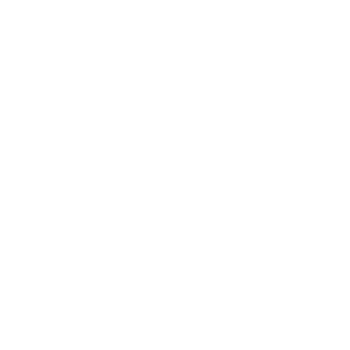 Vega Studio